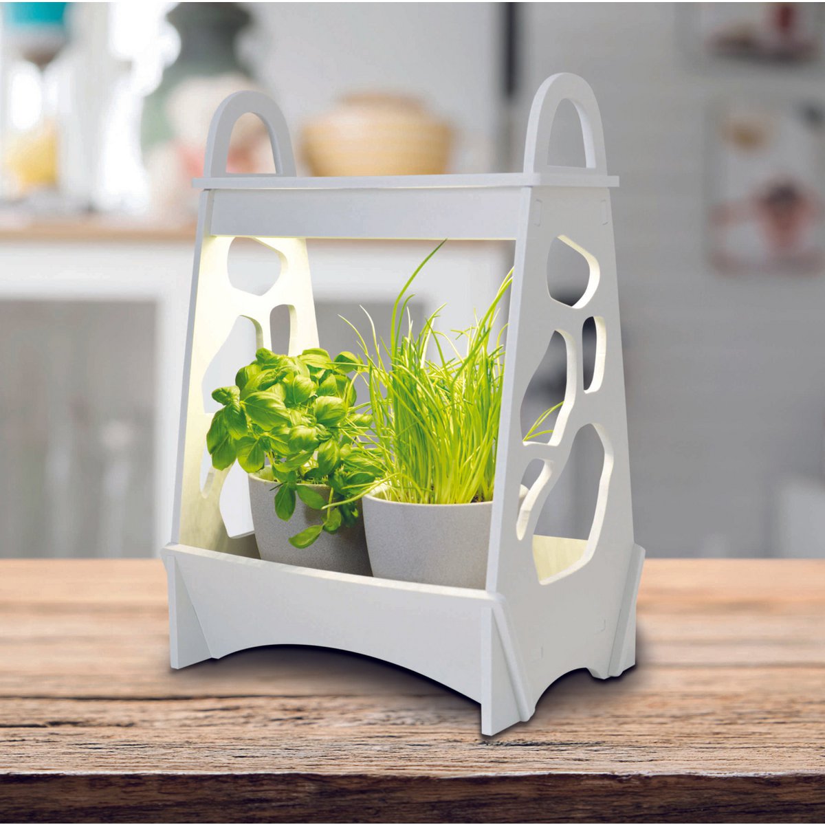 LED mini tuin h: 50cm wit "Garden"