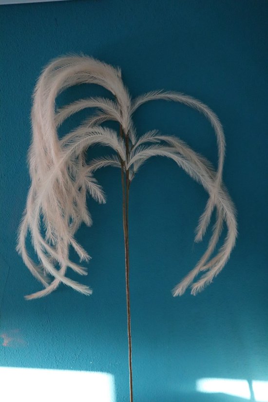 Pluim -Pole to Pole- Mini Hay pluim koper