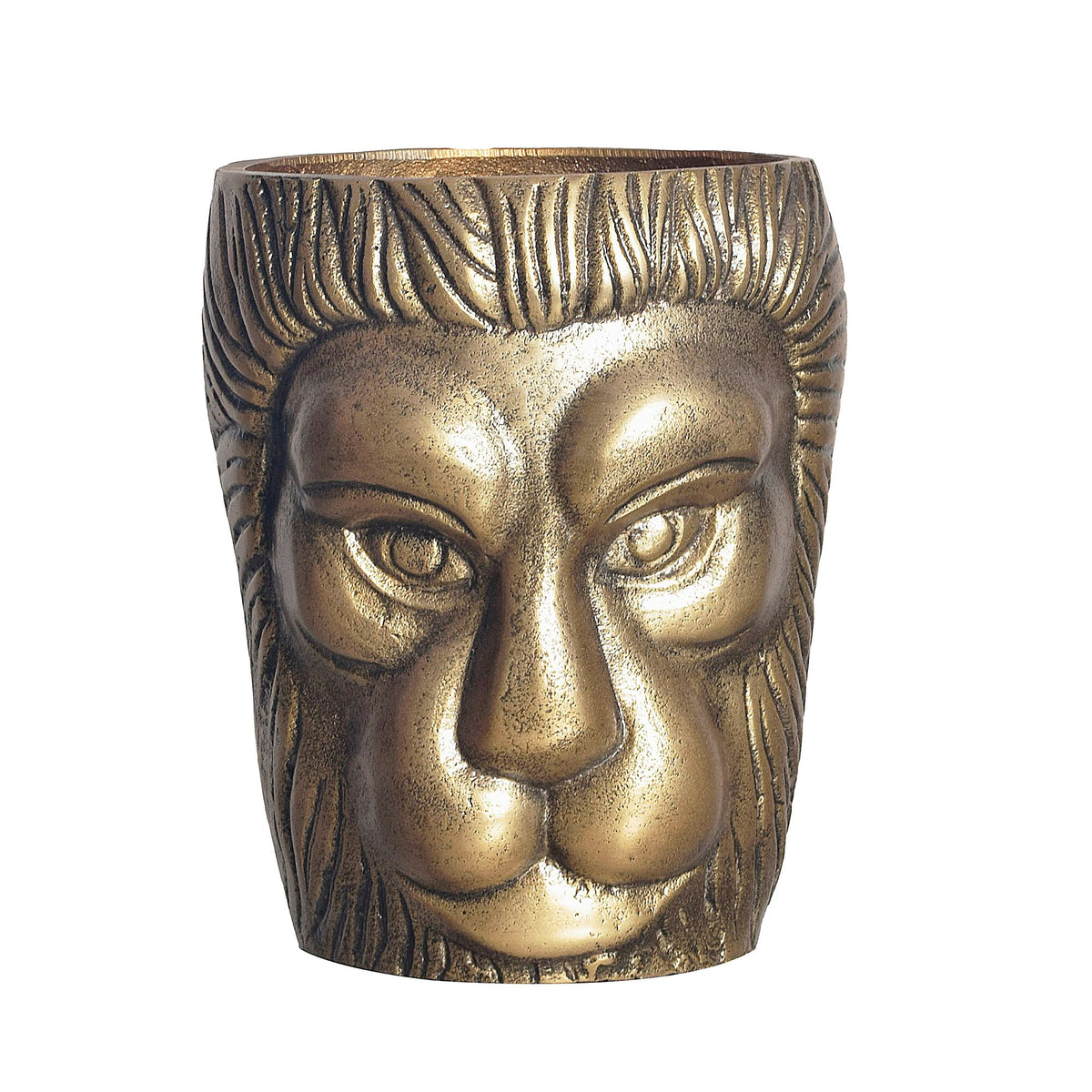 Decoratieve vaas Leeuwenkop 21 cm Aluminium Goud