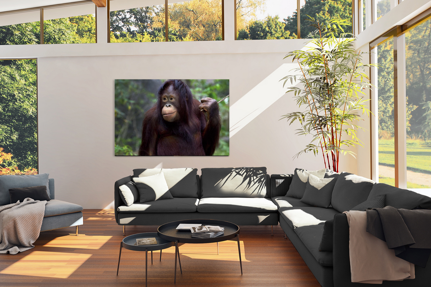 Glasschilderij Oerang-Oetang | Ter Halle | 120 x 80cm