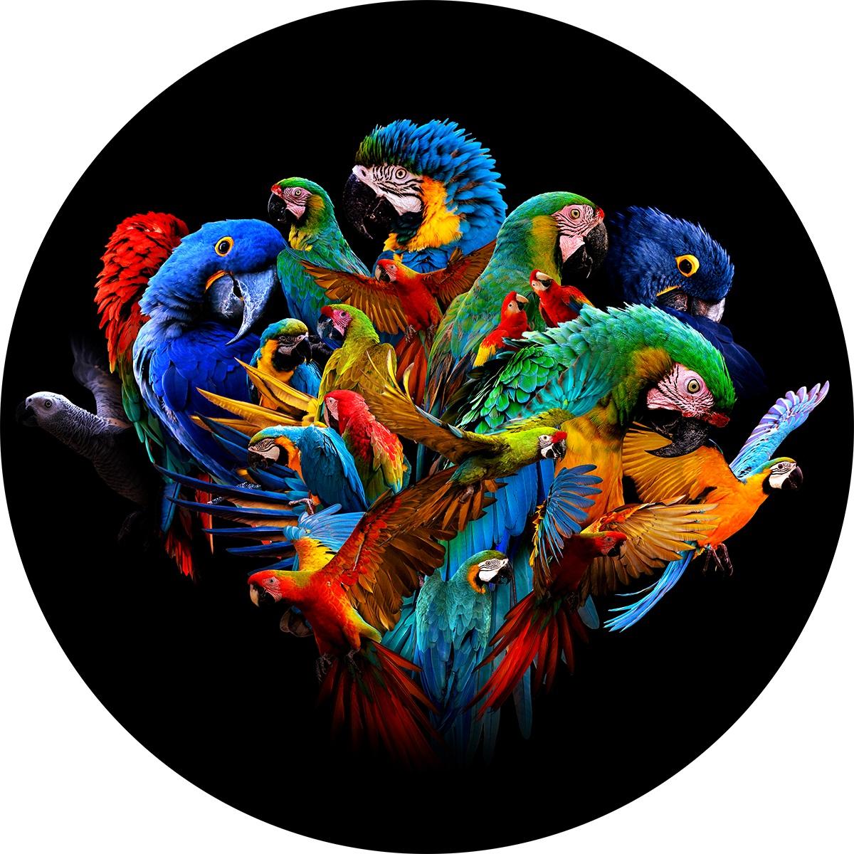Parrot family - Terhalle Glass painting