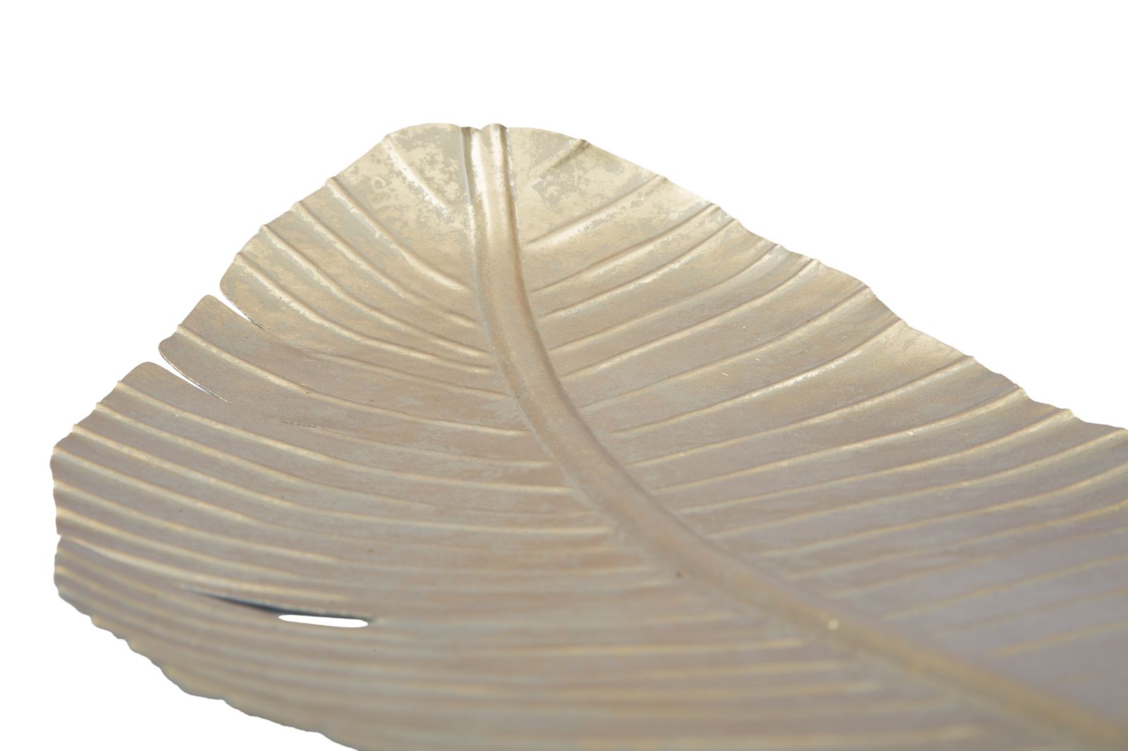 Decoratie Leaf Glam -b- 18×2×55 cm