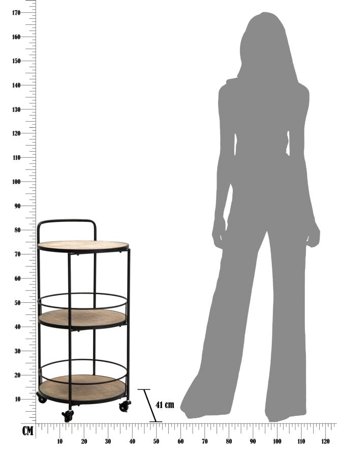 Trolley Arex 40×41,5×82 cm
