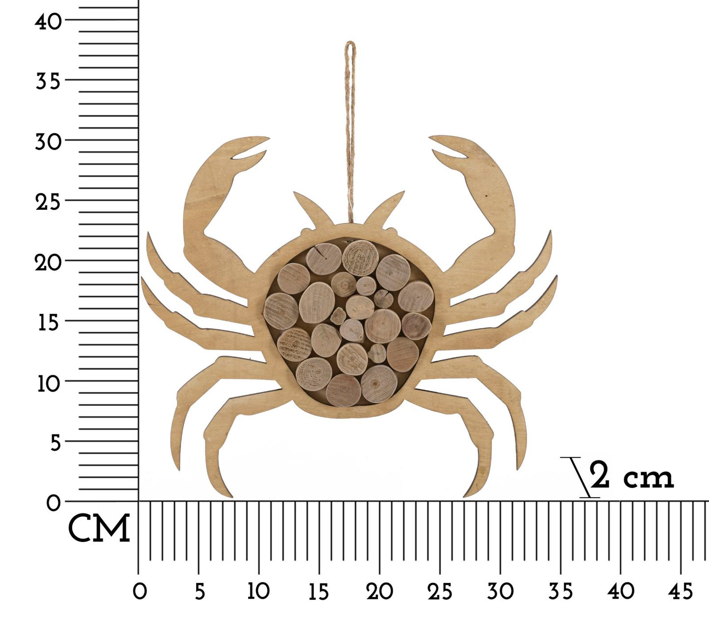 Wanddecoratie Crab Nature To Hang 35×2×31 cm