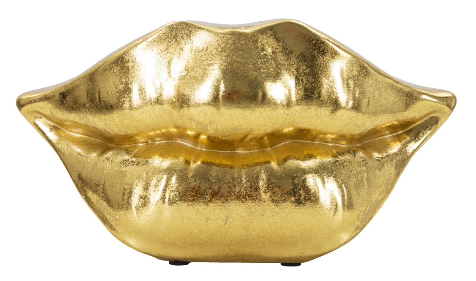 Vaas Mouth Lip 23×8×12 cm