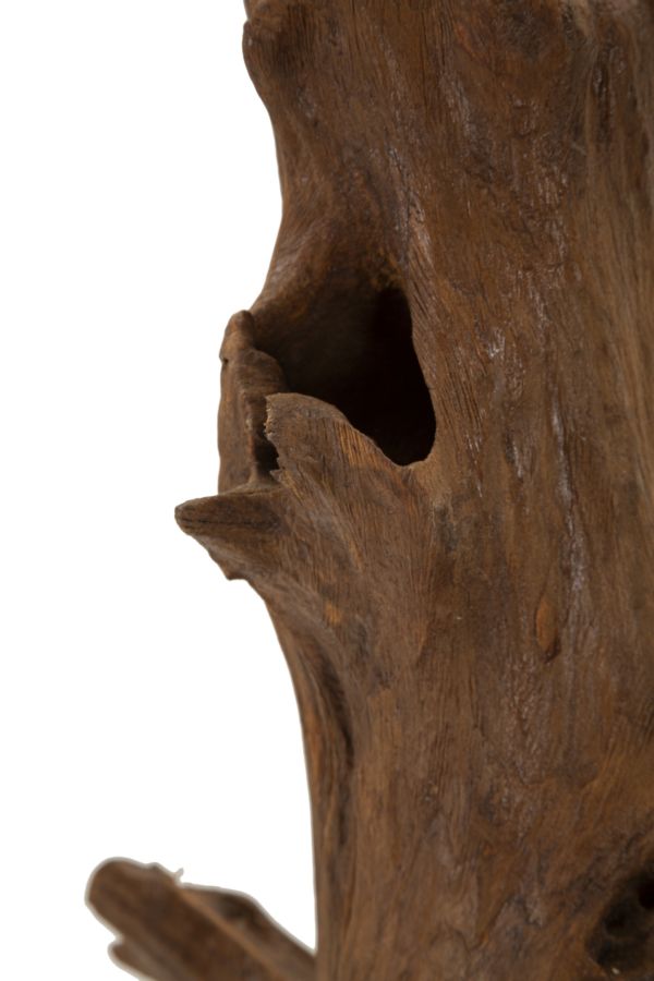 Decoratie Akar Sculpture Teak 23×27×64 cm