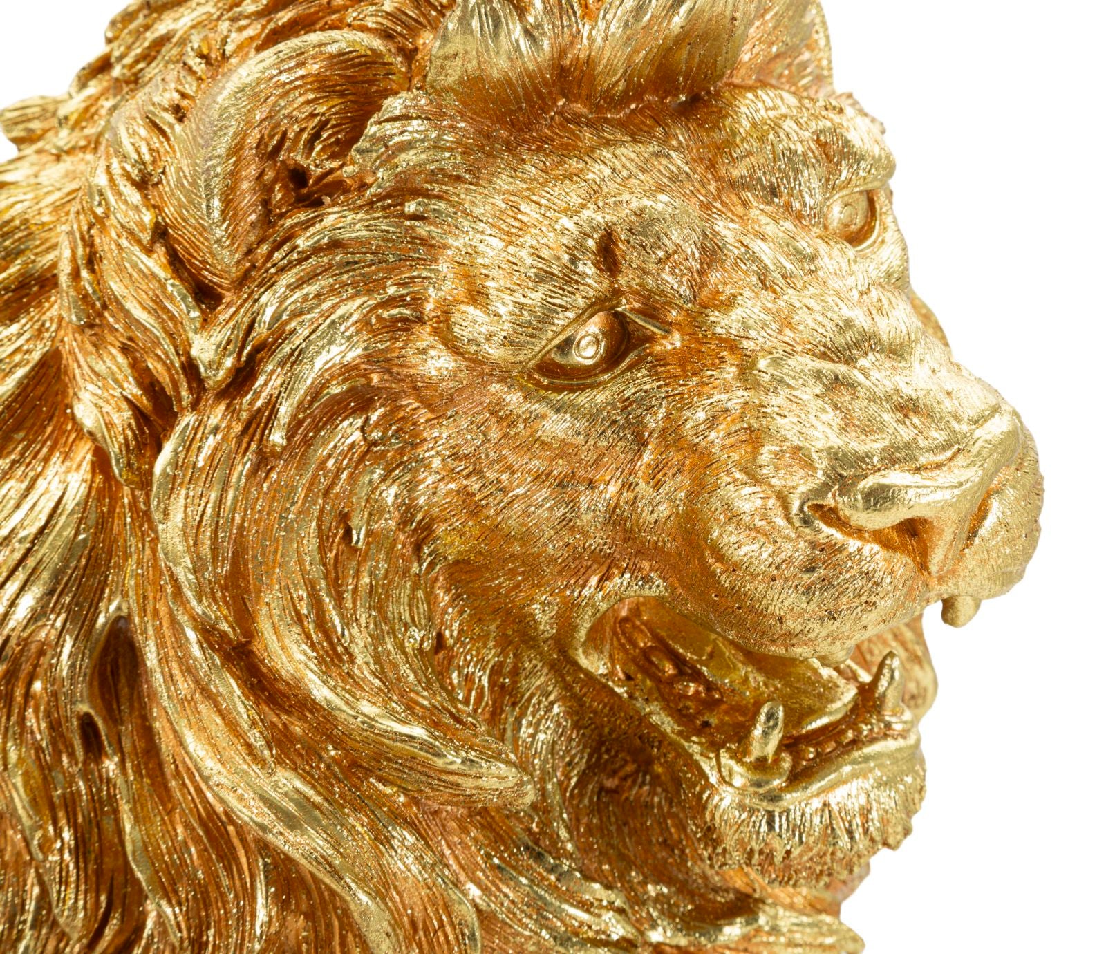 Decoratie Lion Shant 45x29x55
