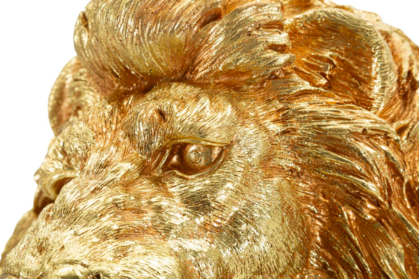 Decoratie Lion Shant 45x29x55