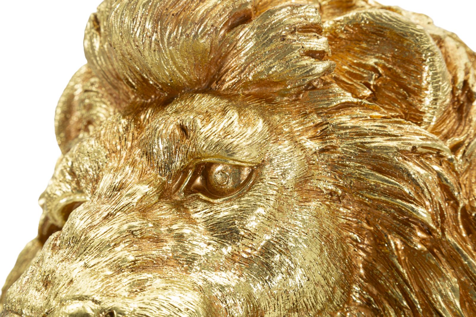 Decoratie Lion Shant 45x29x55