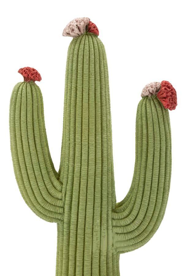 Decoratie Cactus 16,5×11×45 cm