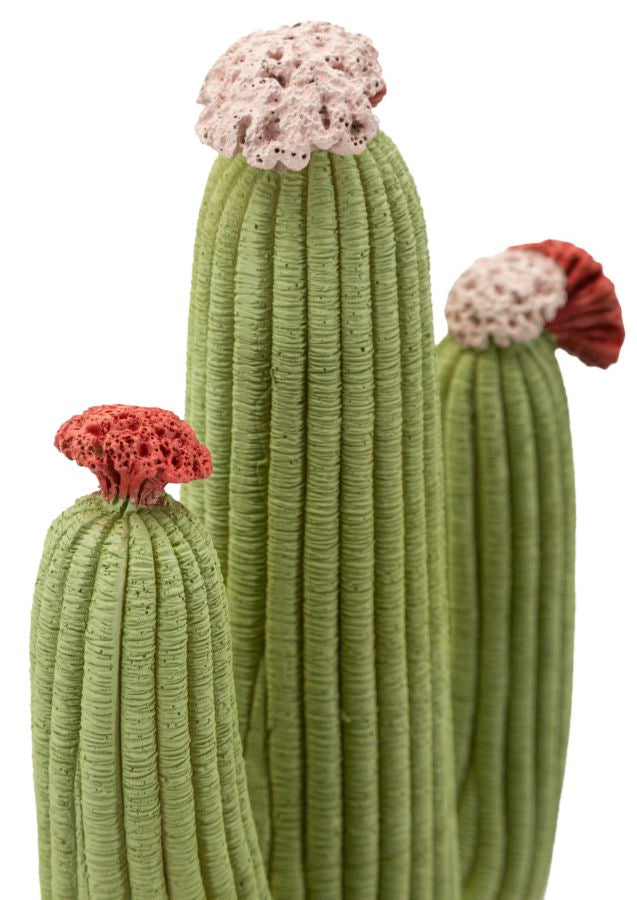 Decoratie Cactus 16,5×11×45 cm