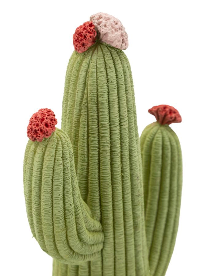 Decoratie Cactus 13×7×25 cm