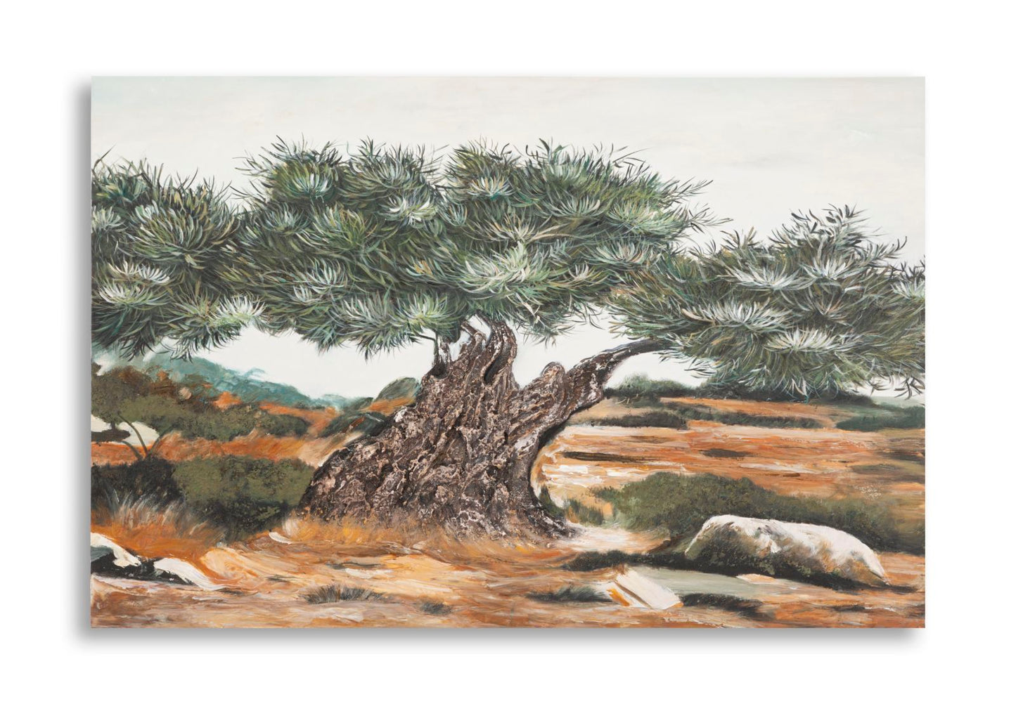 Schilderij Olive Oil Painting -w- 120×3,8×80 cm