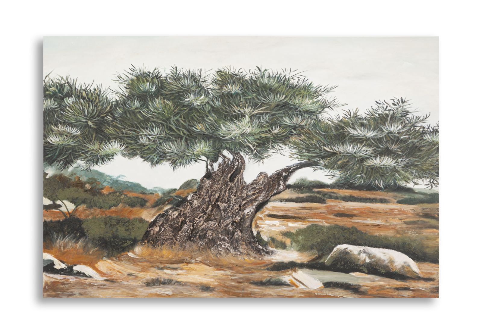 Schilderij Olive Oil Painting -w- 120×3,8×80 cm