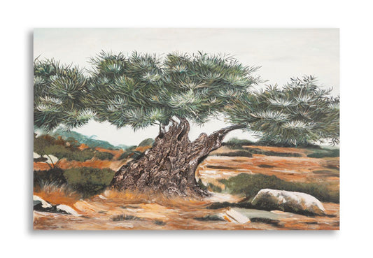 Schilderij Olive Oil Painting -w- 120×3,8×80 cm