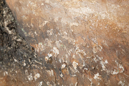 Schilderij Olive Oil Painting -c- 120×3,8×80 cm
