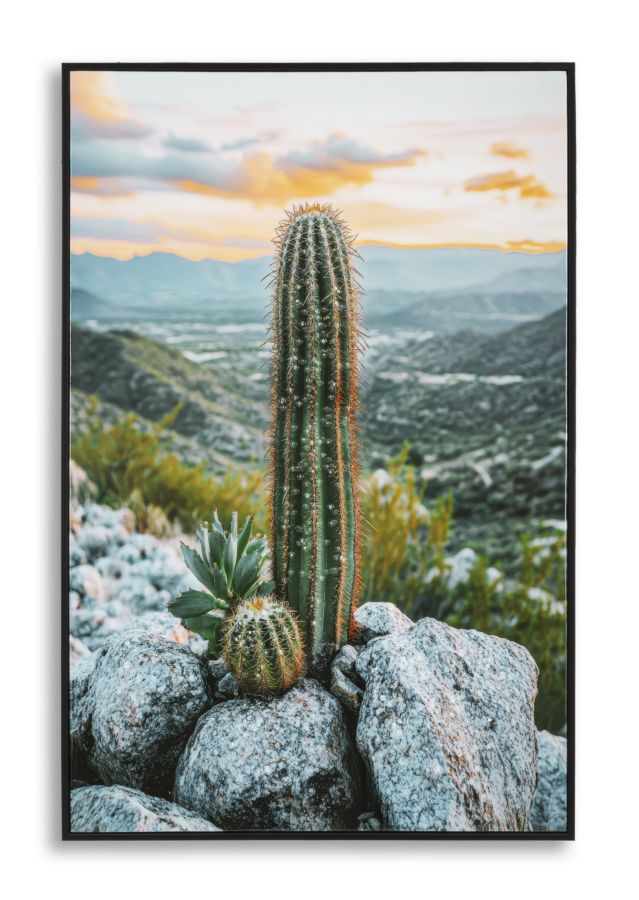 Schilderij Lacquered Canvas Print With Frame Cactus -h- 60×4×90 cm