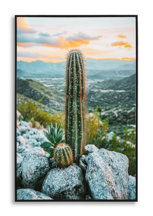 Schilderij Lacquered Canvas Print With Frame Cactus -h- 60×4×90 cm