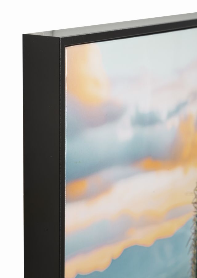 Schilderij Lacquered Canvas Print With Frame Cactus -h- 60×4×90 cm