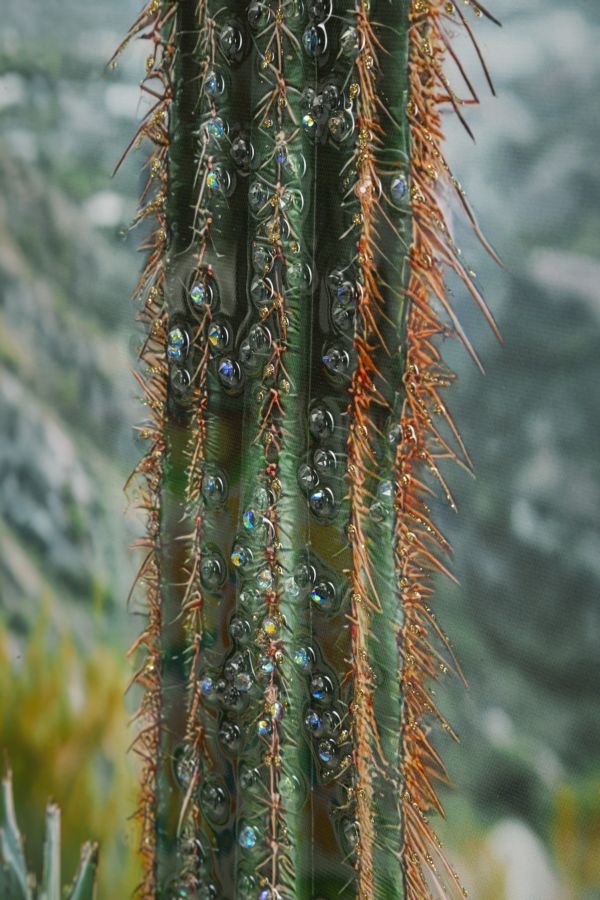 Schilderij Lacquered Canvas Print With Frame Cactus -h- 60×4×90 cm