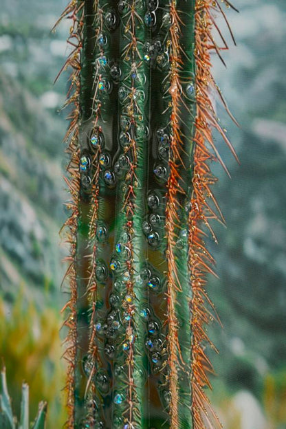 Schilderij Lacquered Canvas Print With Frame Cactus -h- 60×4×90 cm