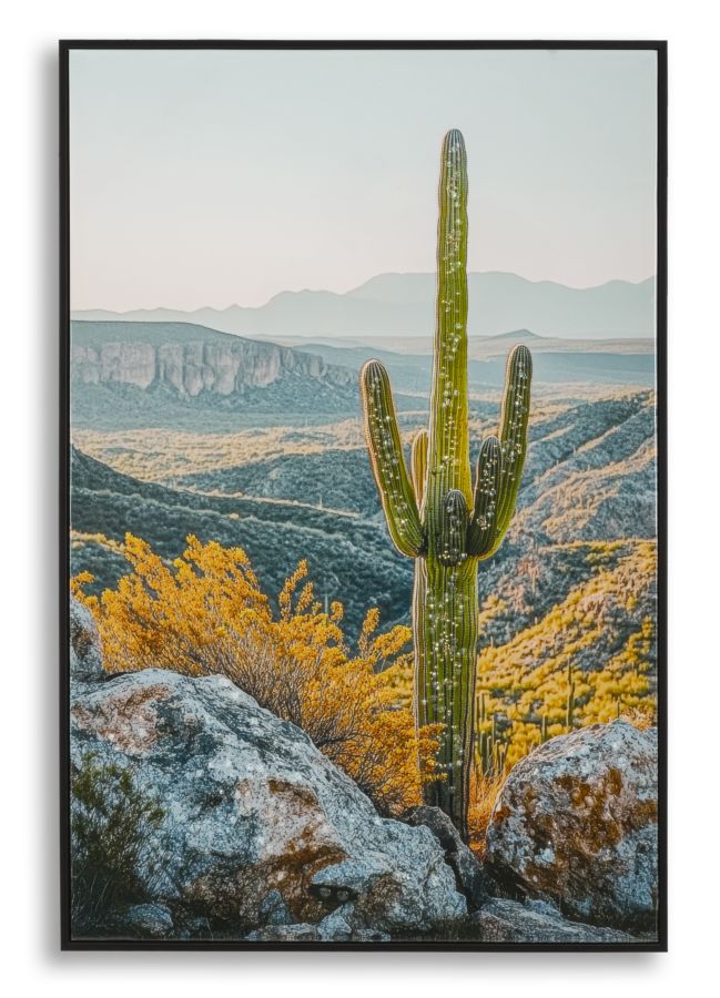 Schilderij Lacquered Canvas Print With Frame Cactus -w- 60×4×90 cm