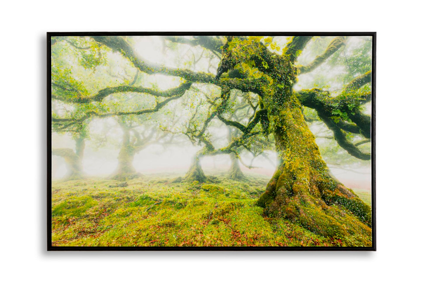 Schilderij On Canvas Lacquered With Frame Forest 90×4×60 cm