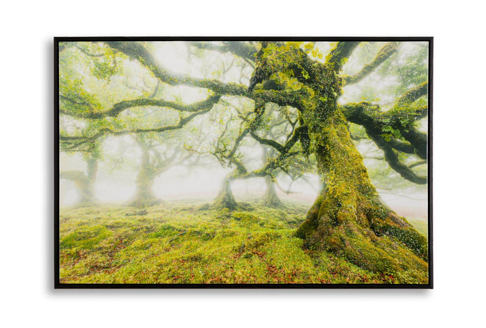 Schilderij On Canvas Lacquered With Frame Forest 90×4×60 cm