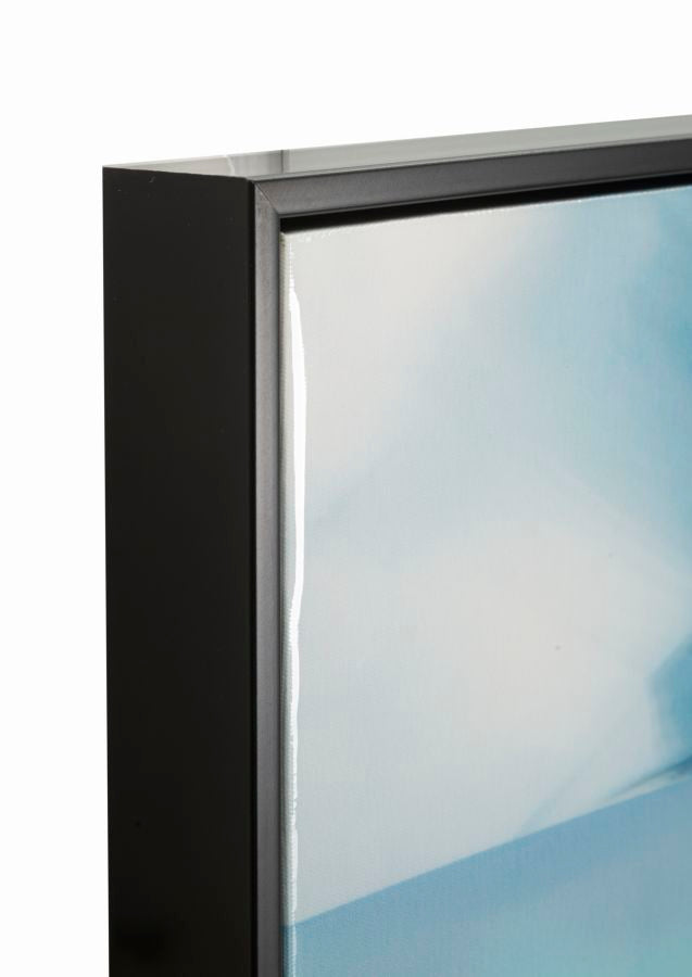 Schilderij On Canvas Lacquered Pam With Frame -a- 62×4×92 cm