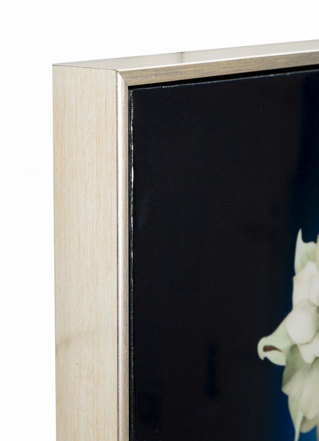 Schilderij On Canvas Lacquered Isabel With Frame -b- 72×4×102 cm
