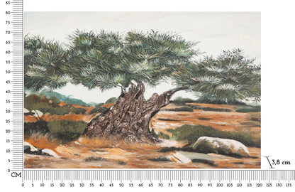 Schilderij Olive Oil Painting -w- 120×3,8×80 cm