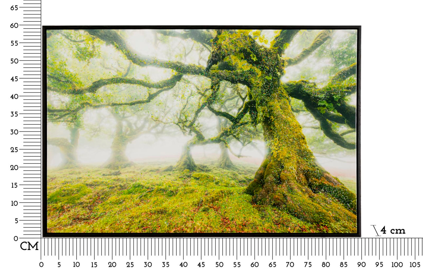 Schilderij On Canvas Lacquered With Frame Forest 90×4×60 cm