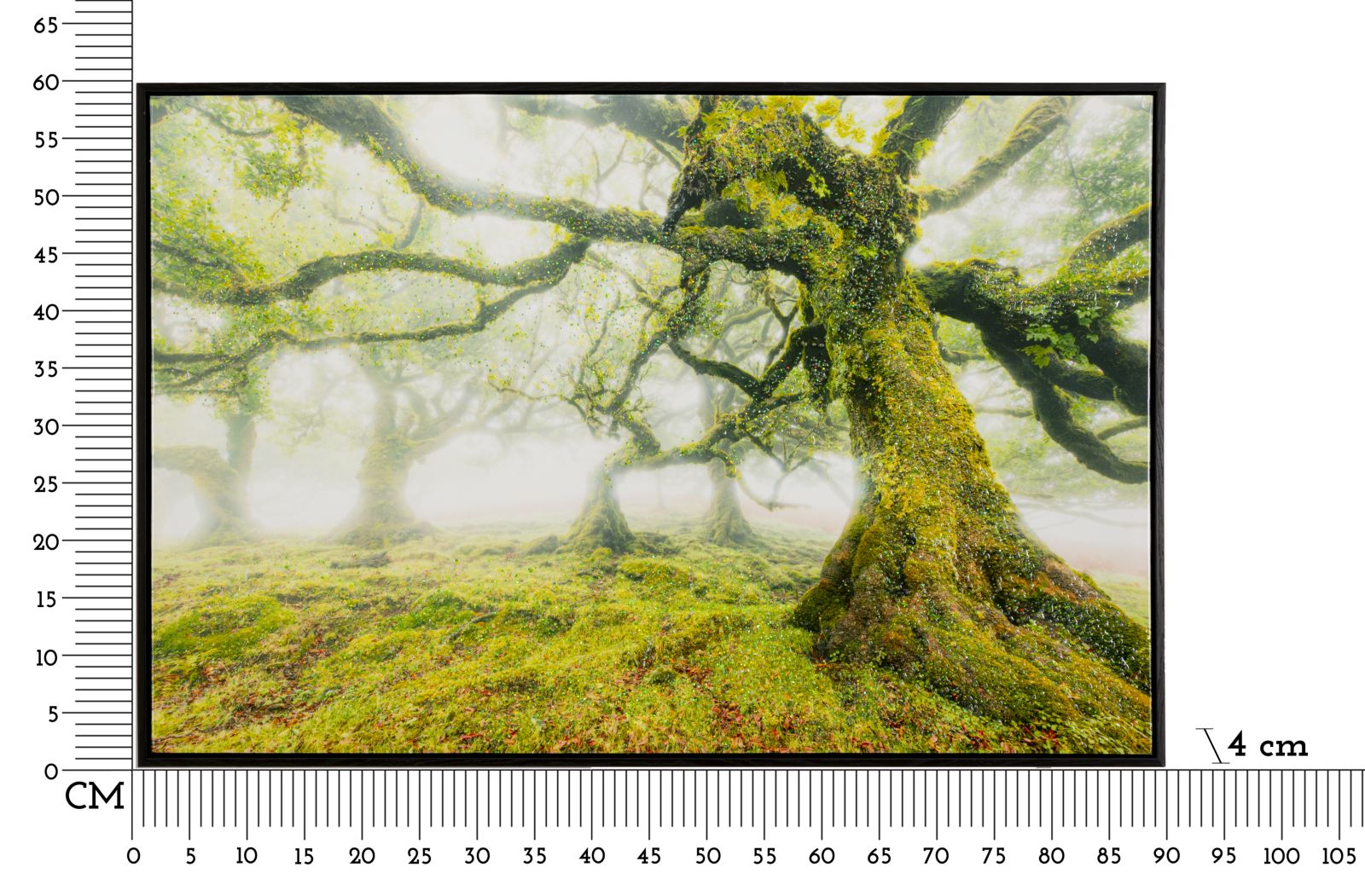 Schilderij On Canvas Lacquered With Frame Forest 90×4×60 cm