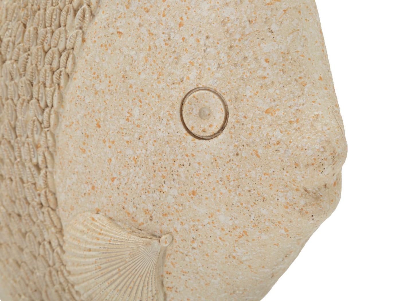 Decoratie Fish Sand 25,3×8,6×24,5 cm