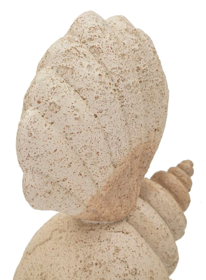 Decoratie Shell Sand 17,2×10×30,2 cm