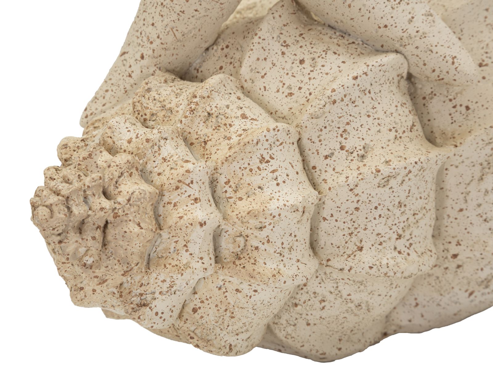 Decoratie Star Fish Sand 18×13×21,2 cm