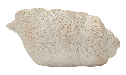 Vaas Shell Sand Vase -b- 35×23×18 cm