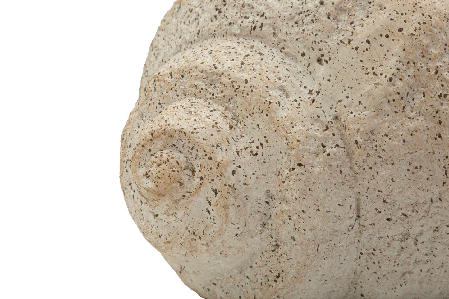 Vaas Shell Sand Vase -b- 35×23×18 cm