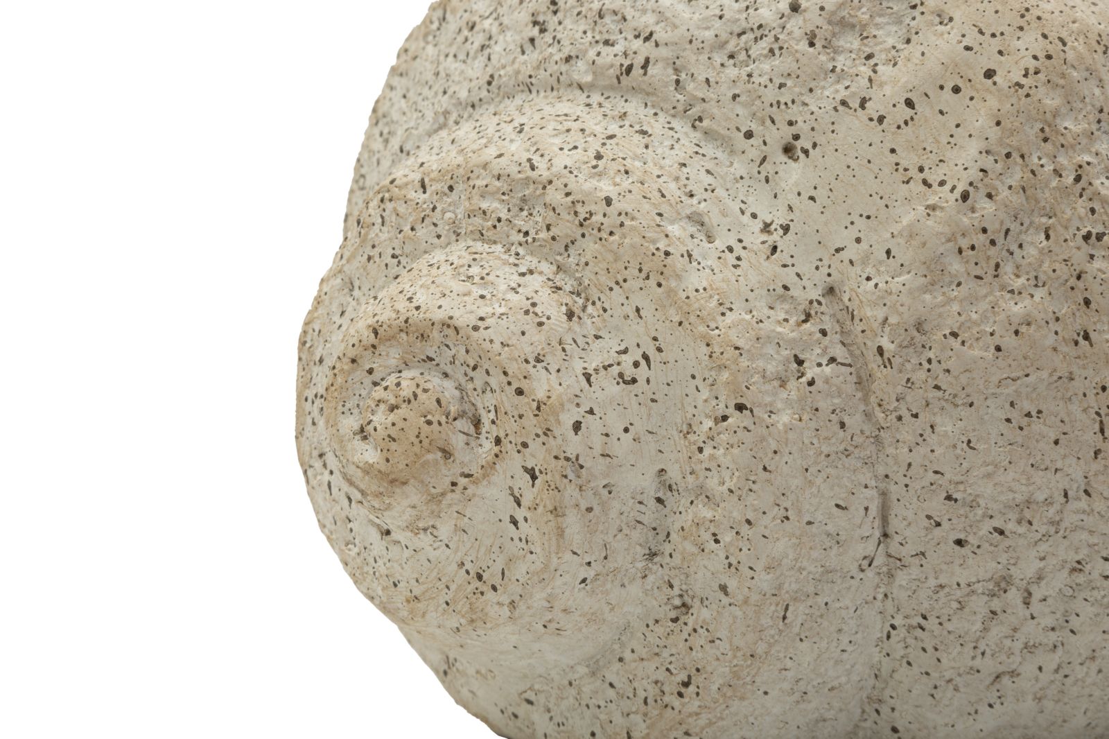 Vaas Shell Sand Vase -b- 35×23×18 cm