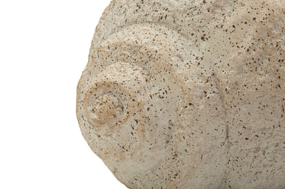 Vaas Shell Sand Vase -b- 35×23×18 cm