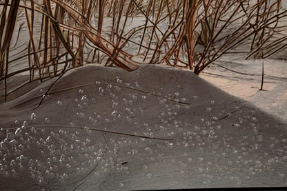 Schilderij On Canvas Beach Laquared With Frame -a- 152×4×52 cm