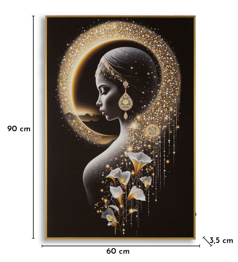 Schilderij On Canvas With Led Inda Laquared With Frame 60×3,5×90 cm