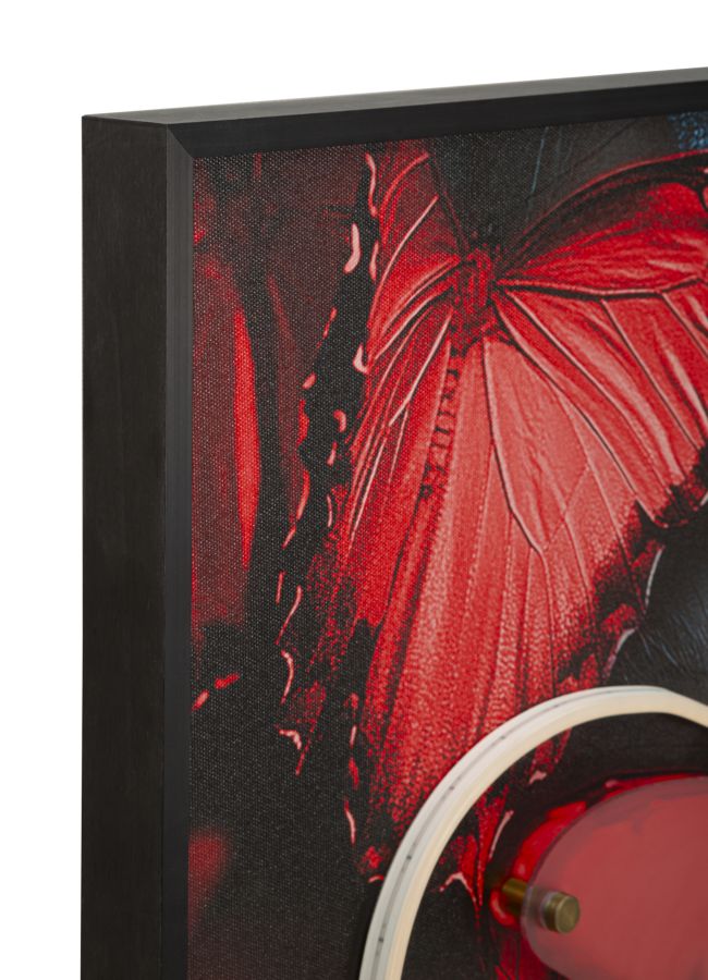 Schilderij On Canvas With Led Butterflies 60×3,5×90 cm