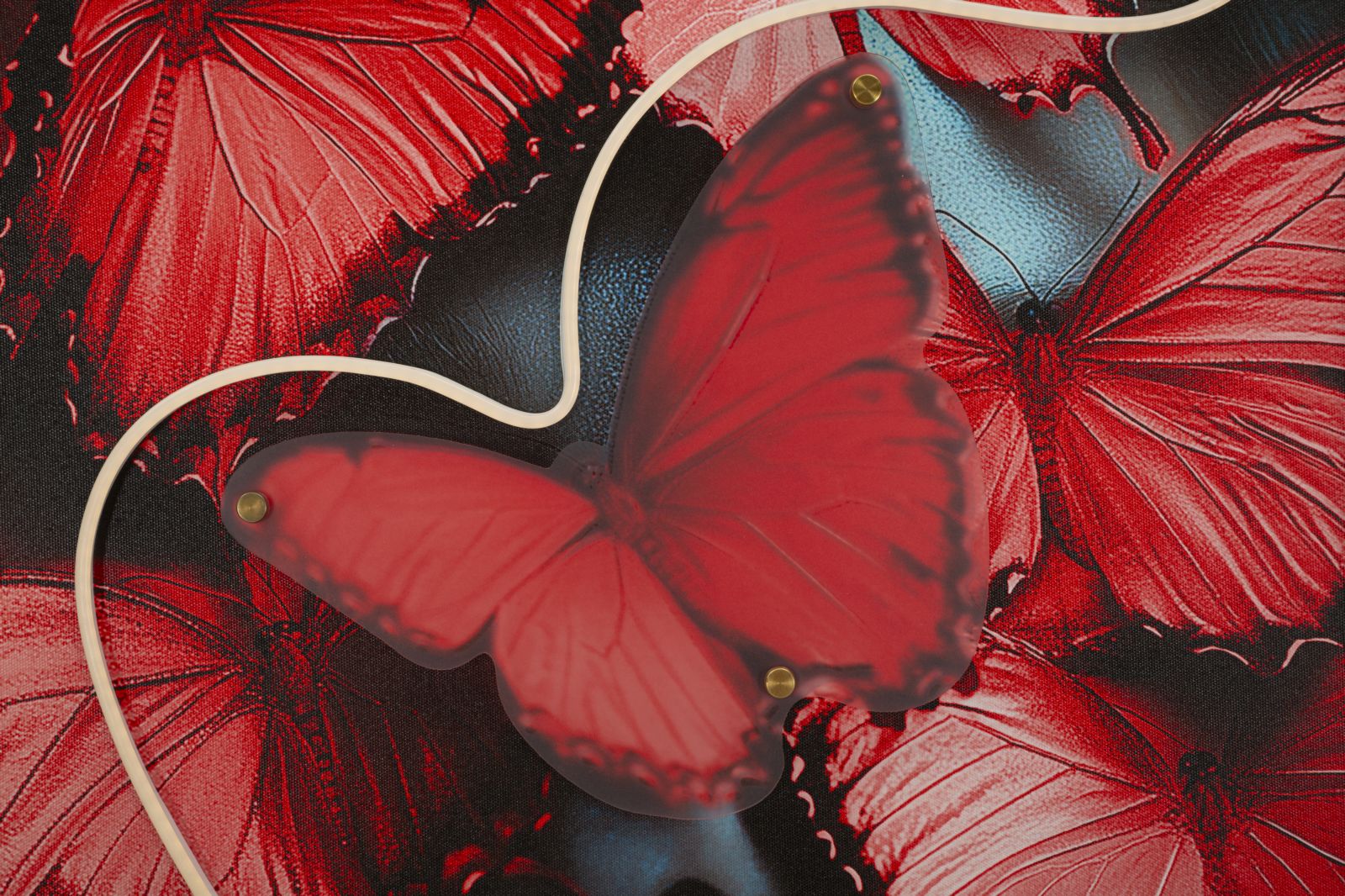 Schilderij On Canvas With Led Butterflies 60×3,5×90 cm