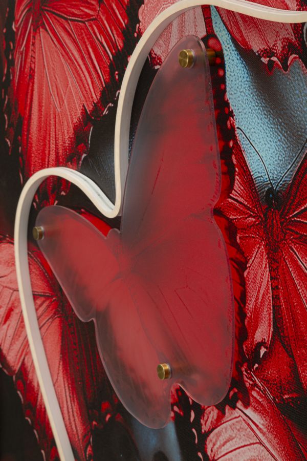 Schilderij On Canvas With Led Butterflies 60×3,5×90 cm