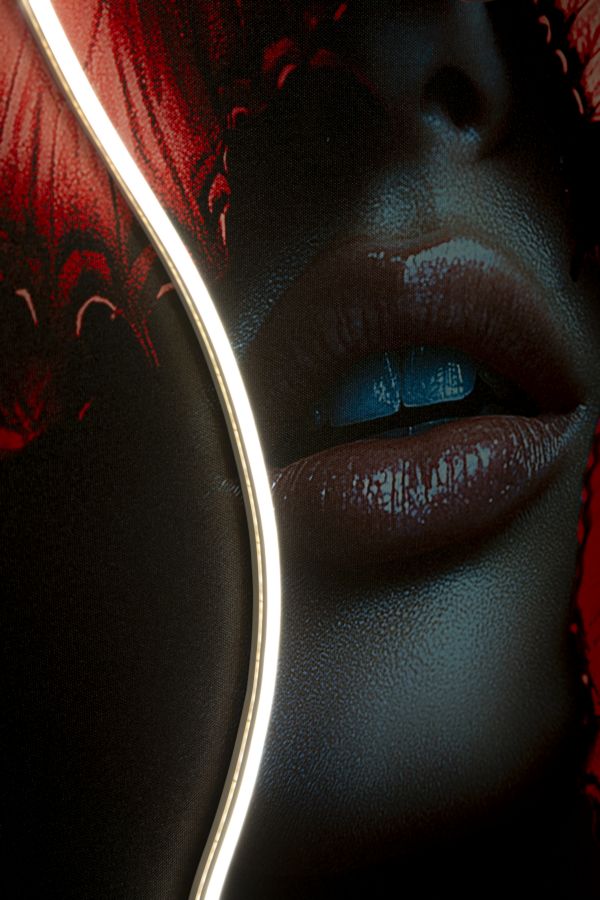 Schilderij On Canvas With Led Butterflies 60×3,5×90 cm