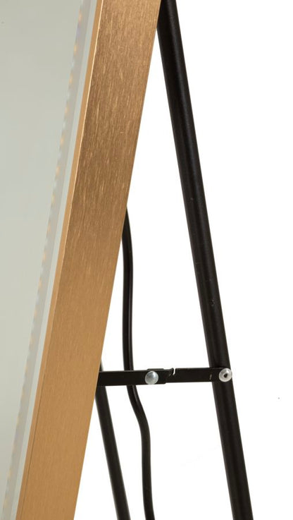 Spiegel Led Floor Mirror Simple Rectangular 50×3 cm