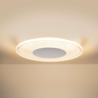 LED plafondlamp "Modesto" d: 29cm