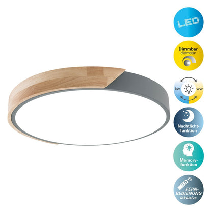 LED -plafondlamp "Borneo", Ø 31 cm gemaakt van metaal en plastic in grijs, geïntegreerde LED's, verlichting voor woonkamers, gang en kantoor