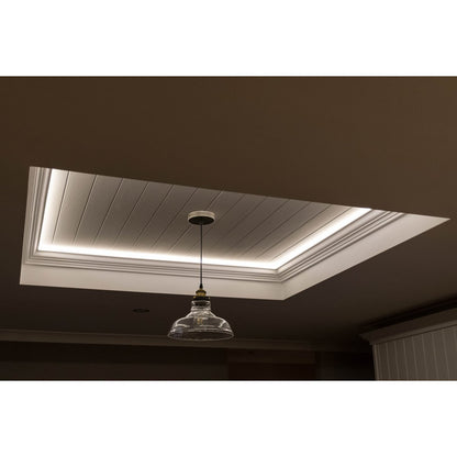 Cob LED -streep 5 meter, wit/transparant, dimbaar met geheugenfunctie